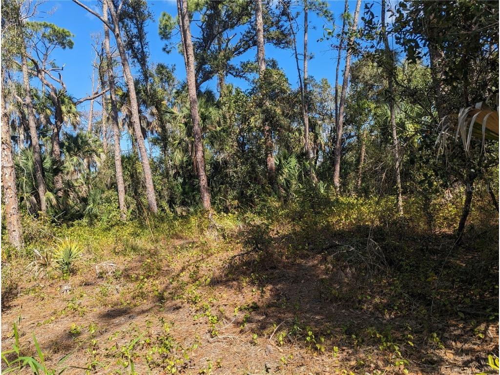 0 Apricola Road #LOT 14 North Port FL 34286 T3486908 image2