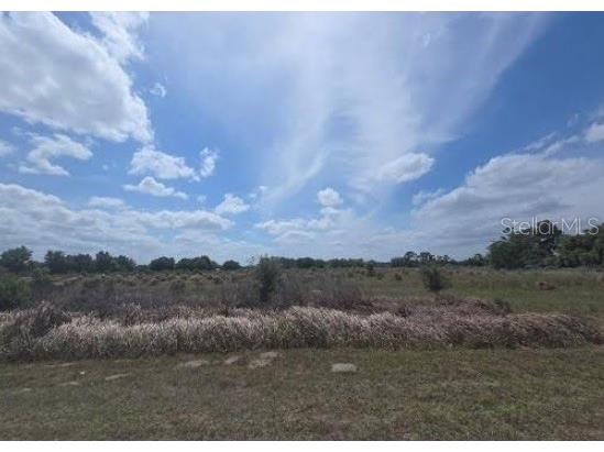 0 0 Artifact Drive Zephyrhills FL 33541 TB8499909 image1