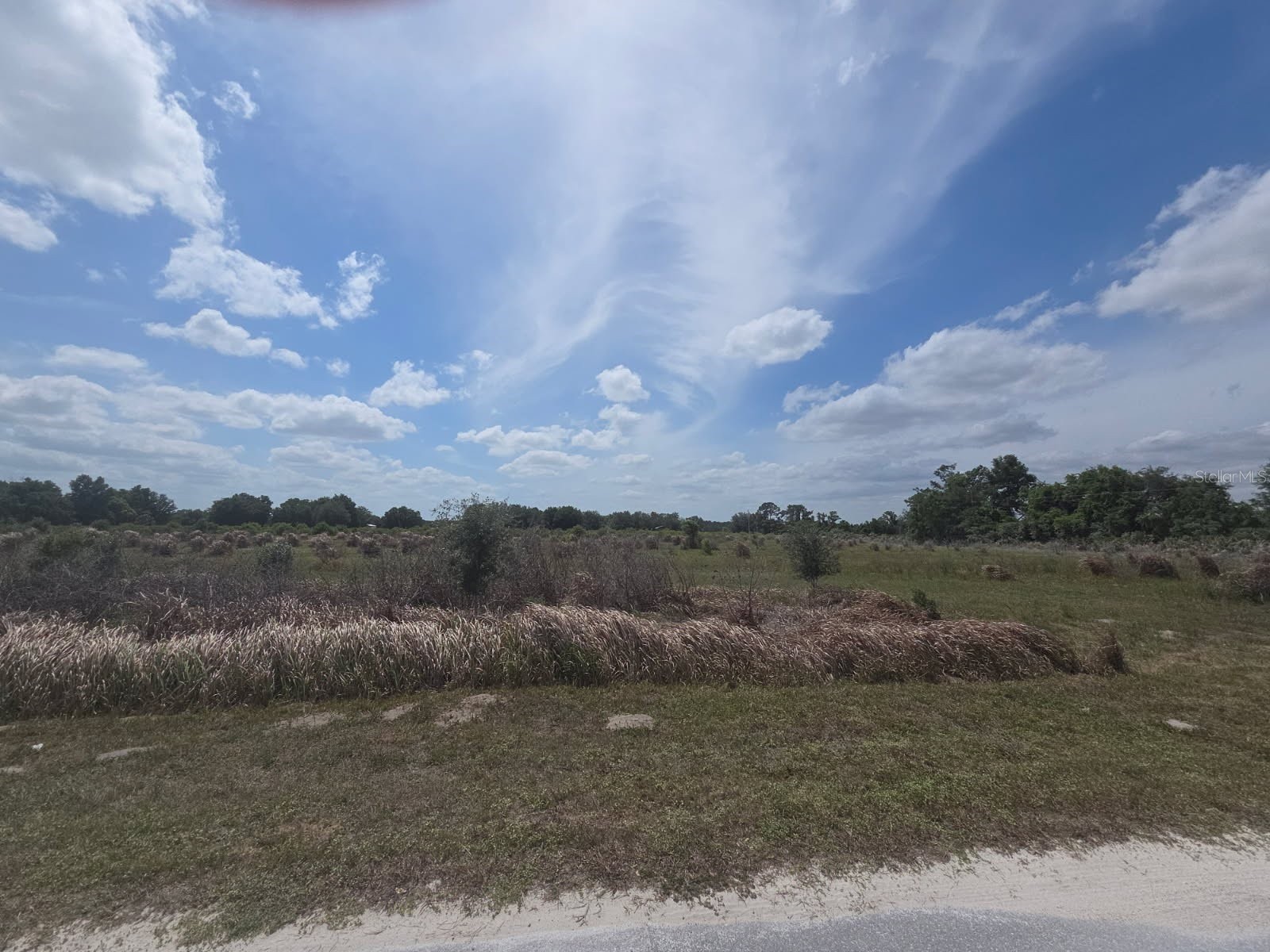 0 0 Artifact Drive Zephyrhills FL 33541 TB8499909 image3