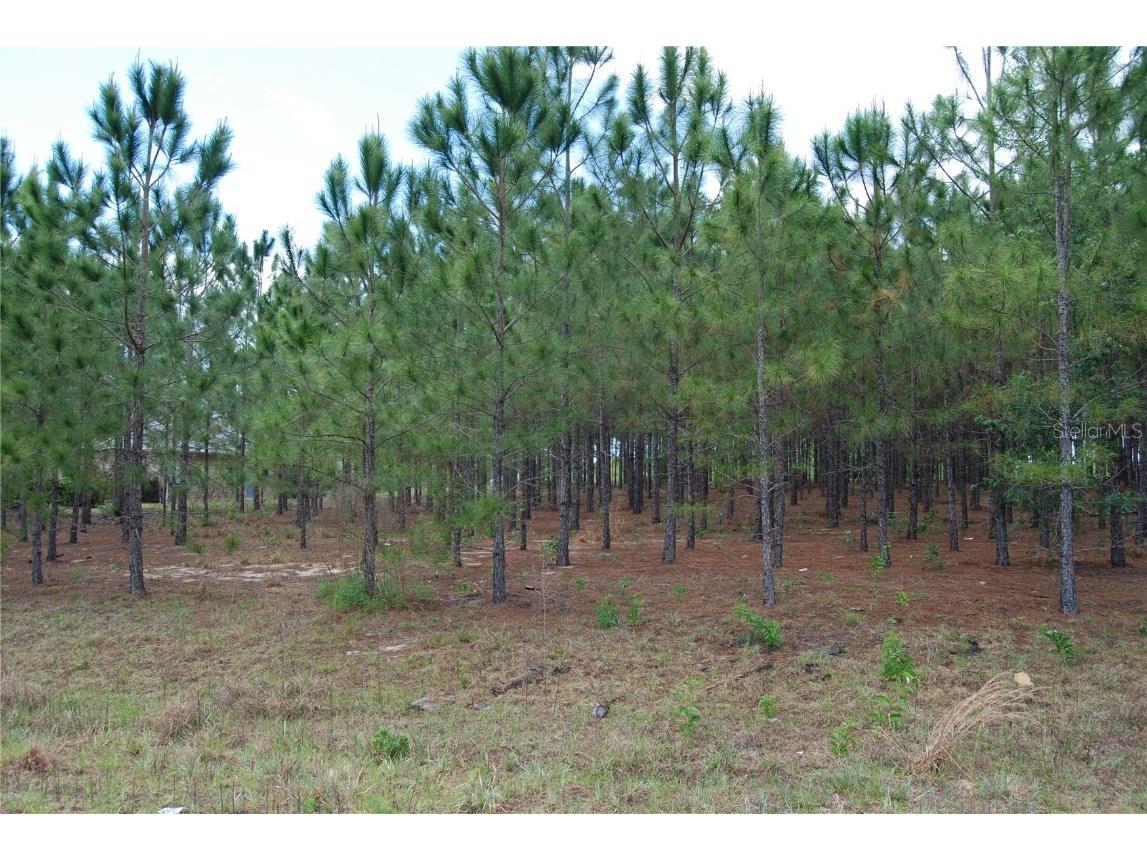 0 Aspen Avenue Ocala FL 34480 OM656608 image1