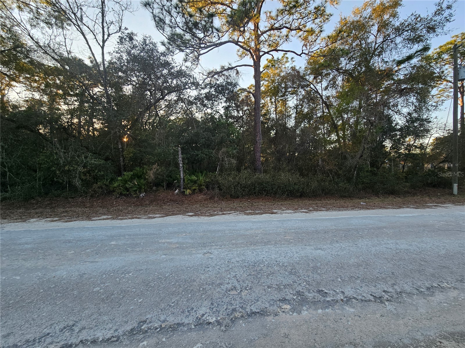 0 Atwood Drive Webster FL 33597 TB8474454 image1