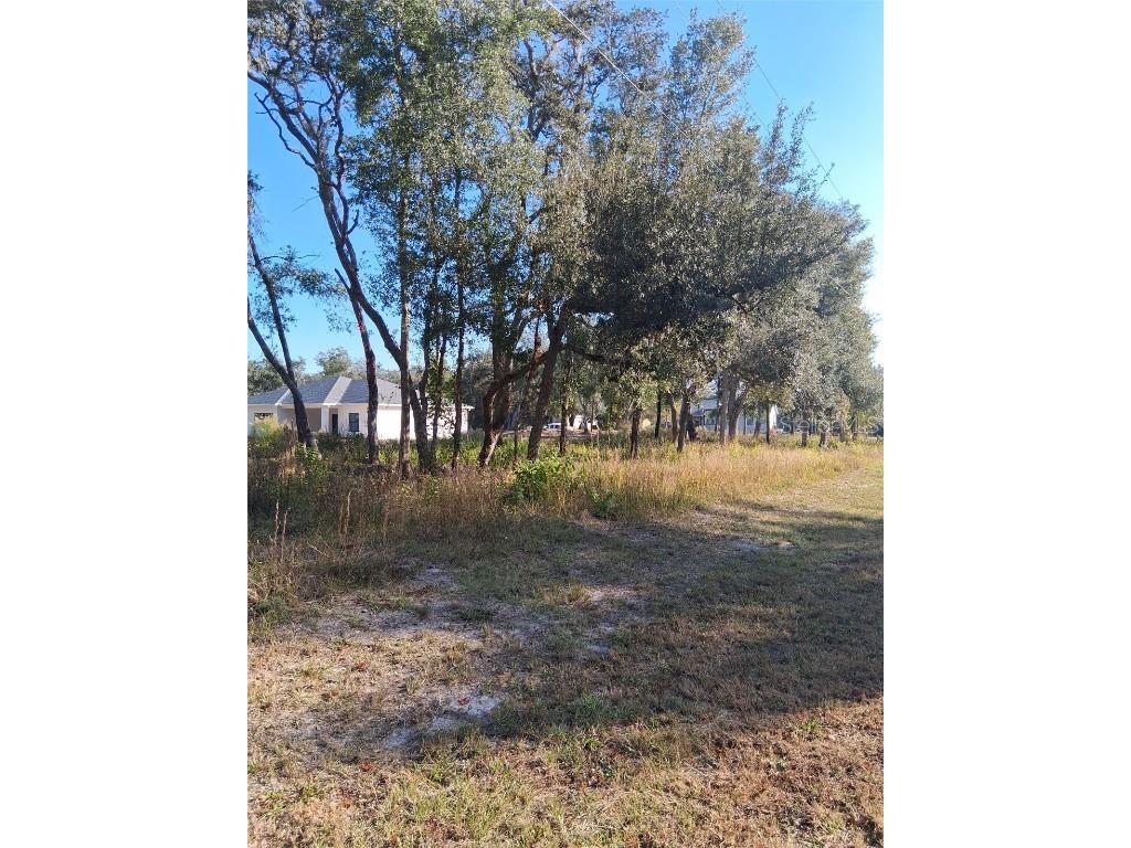 0 August Avenue Webster FL 33597 W7880932 image2