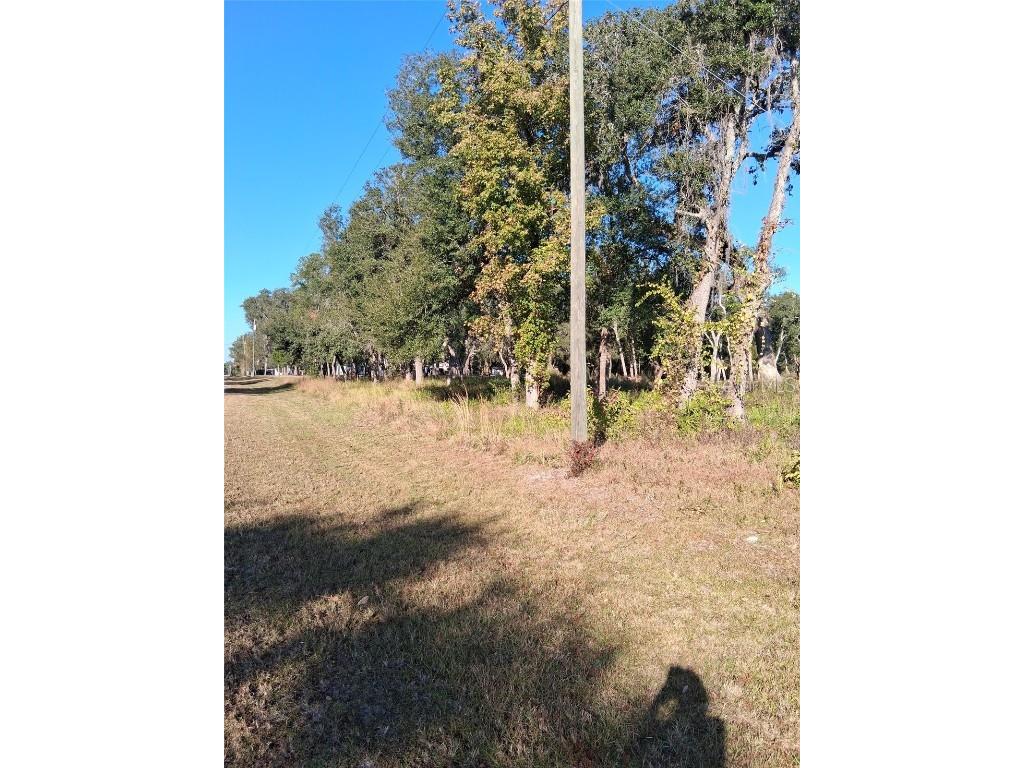 0 August Avenue Webster FL 33597 W7880932 image3