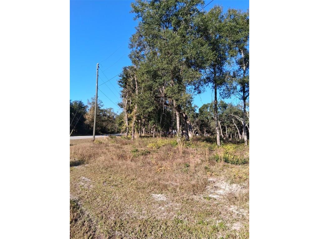 0 August Avenue Webster FL 33597 W7880932 image4