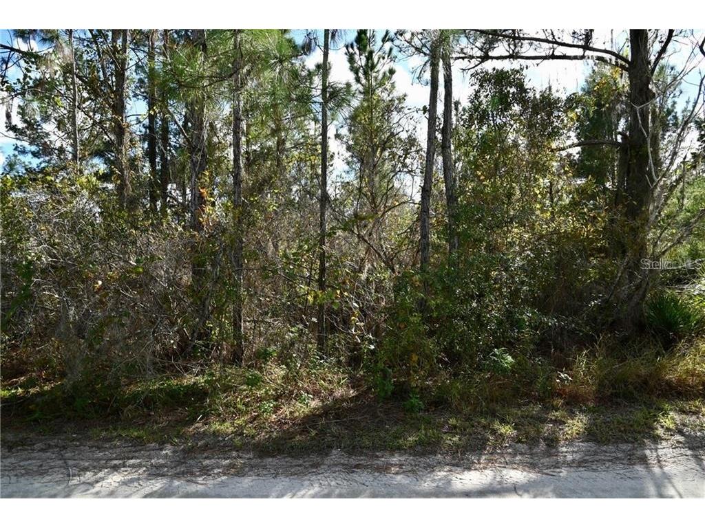 0 Avenue K Haines City FL 33844 S5047561 image1