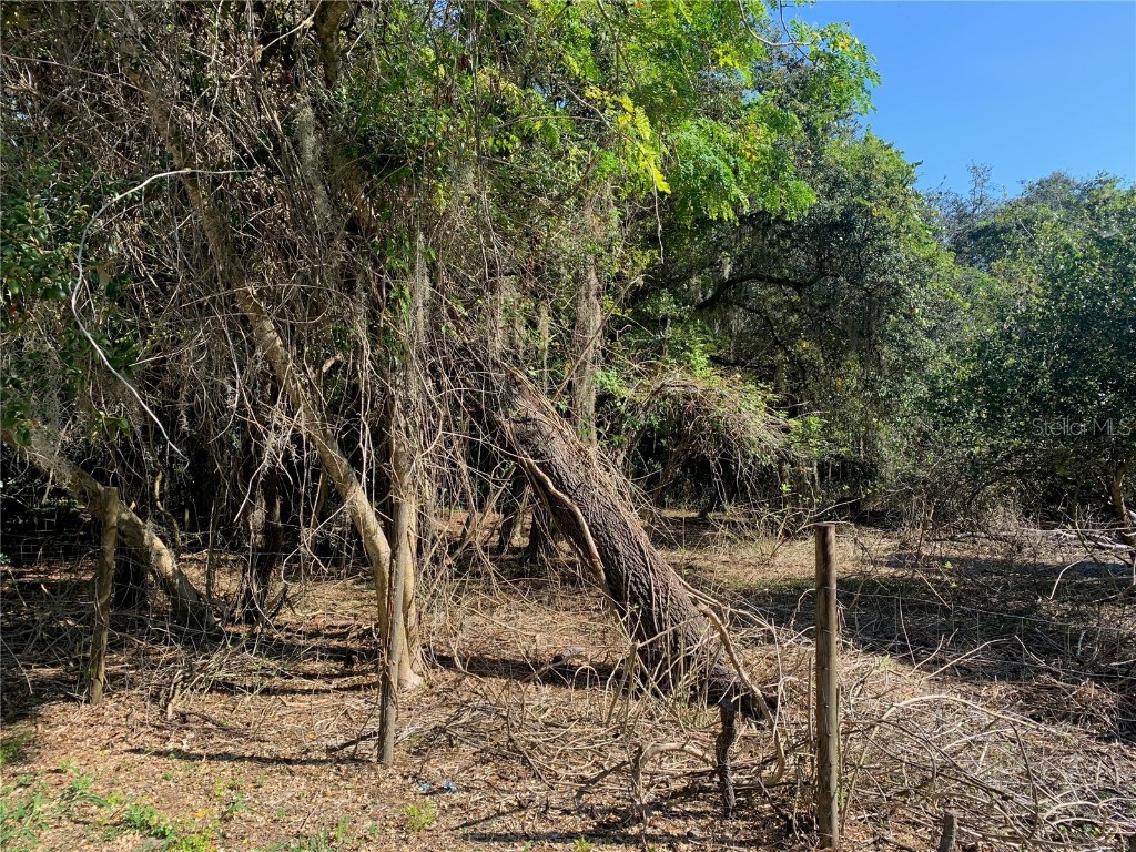 0 Avon Park Cutoff Road Frostproof FL 33843 T3336246 image1