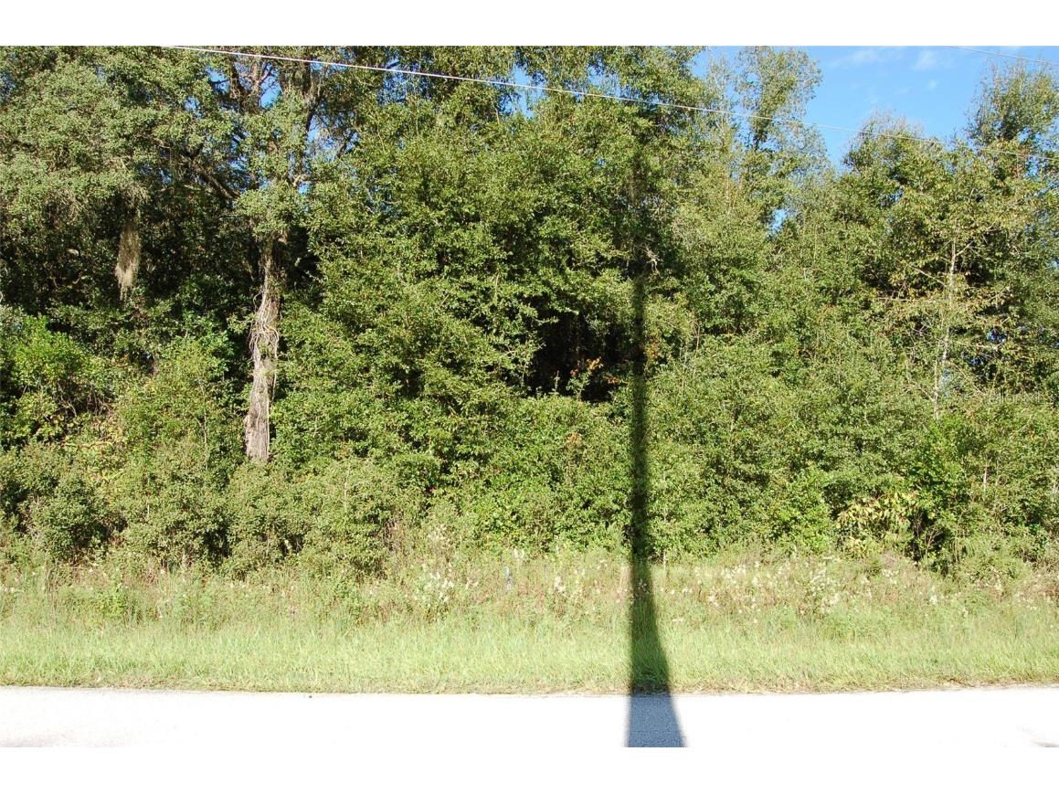 0 Azalea Court SW Dunnellon FL 34431 OM646157 image1