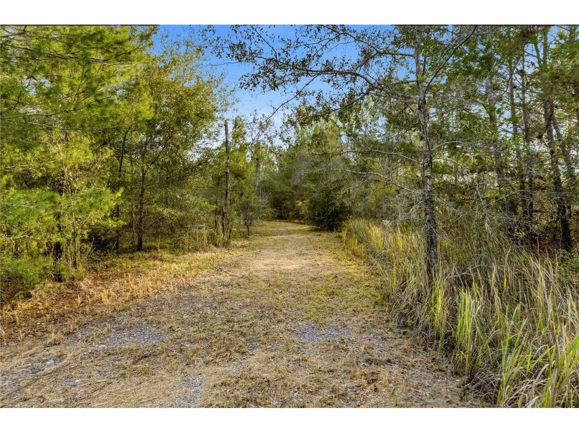 0 Backwoods Way Brooksville FL 34614 W7881493 image1
