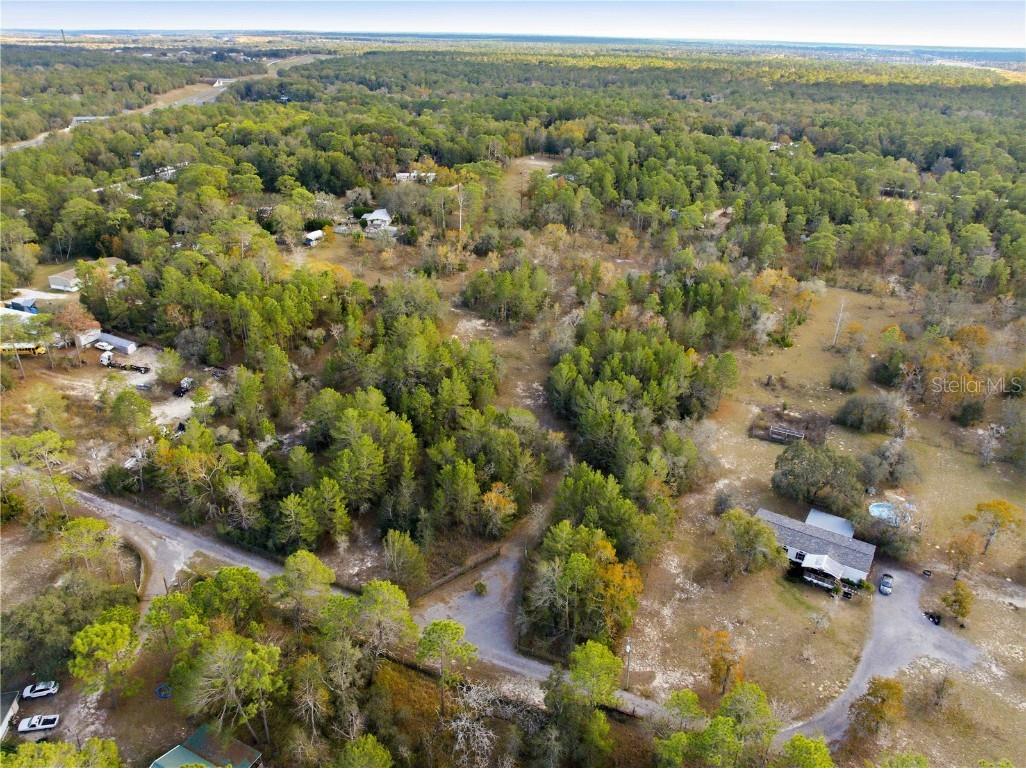 0 Backwoods Way Brooksville FL 34614 W7881493 image12