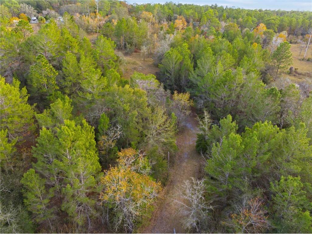 0 Backwoods Way Brooksville FL 34614 W7881493 image13