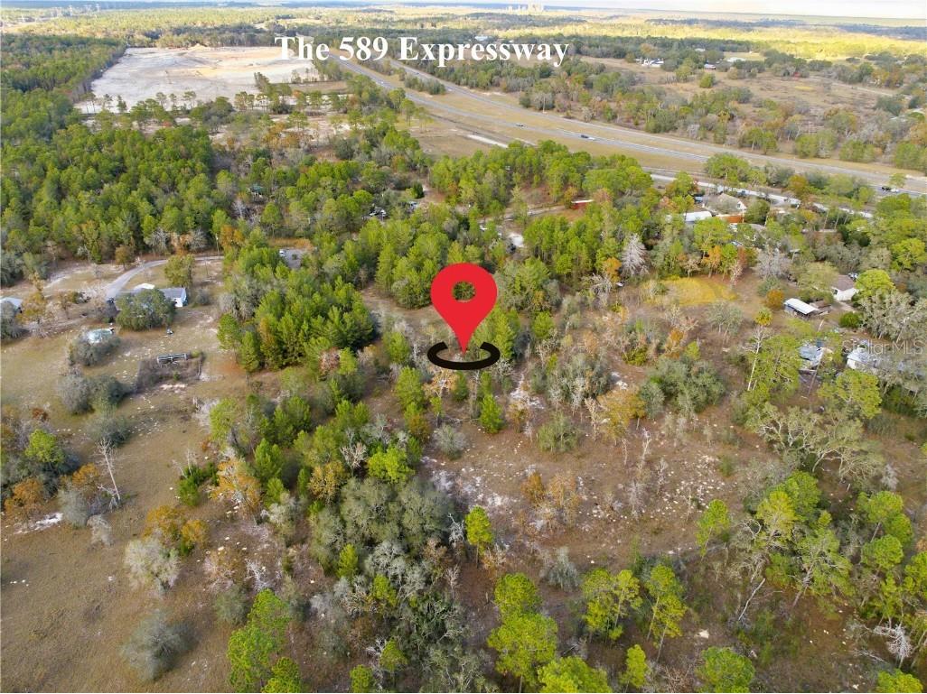 0 Backwoods Way Brooksville FL 34614 W7881493 image14