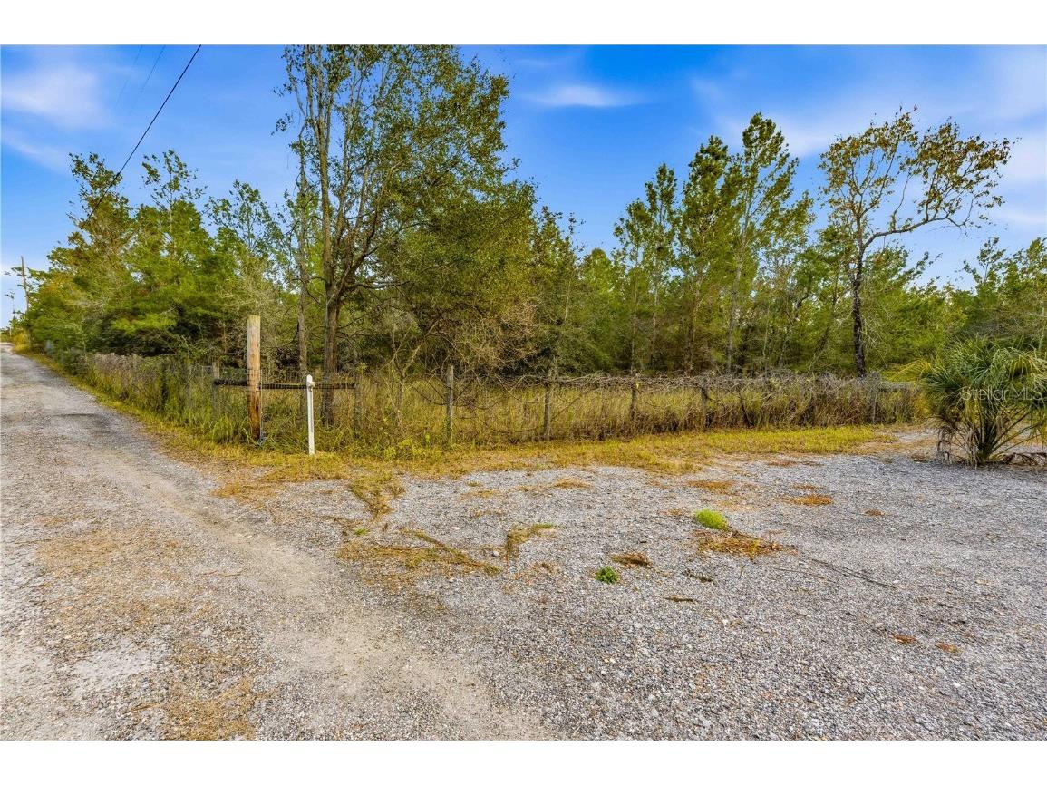 0 Backwoods Way Brooksville FL 34614 W7881493 image4