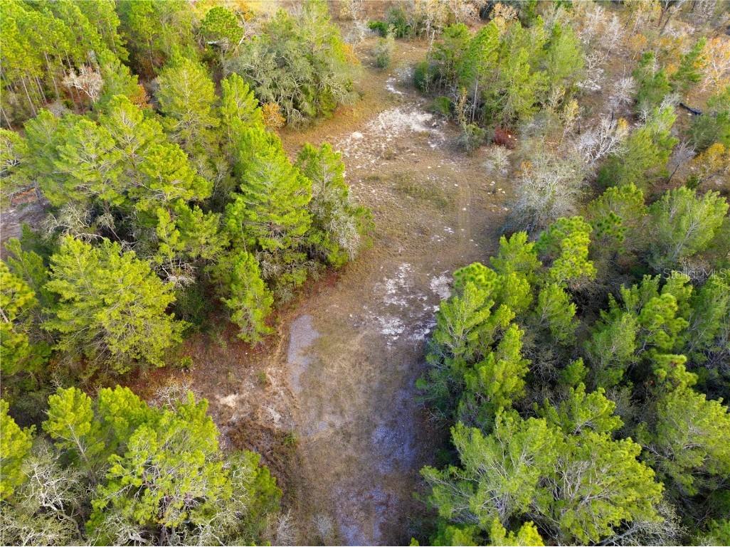 0 Backwoods Way Brooksville FL 34614 W7881493 image6