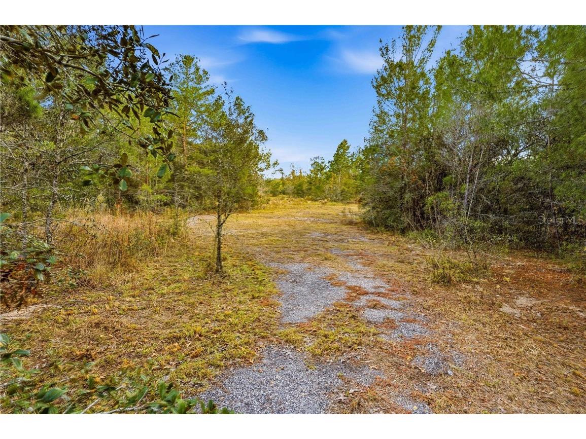 0 Backwoods Way Brooksville FL 34614 W7881493 image7