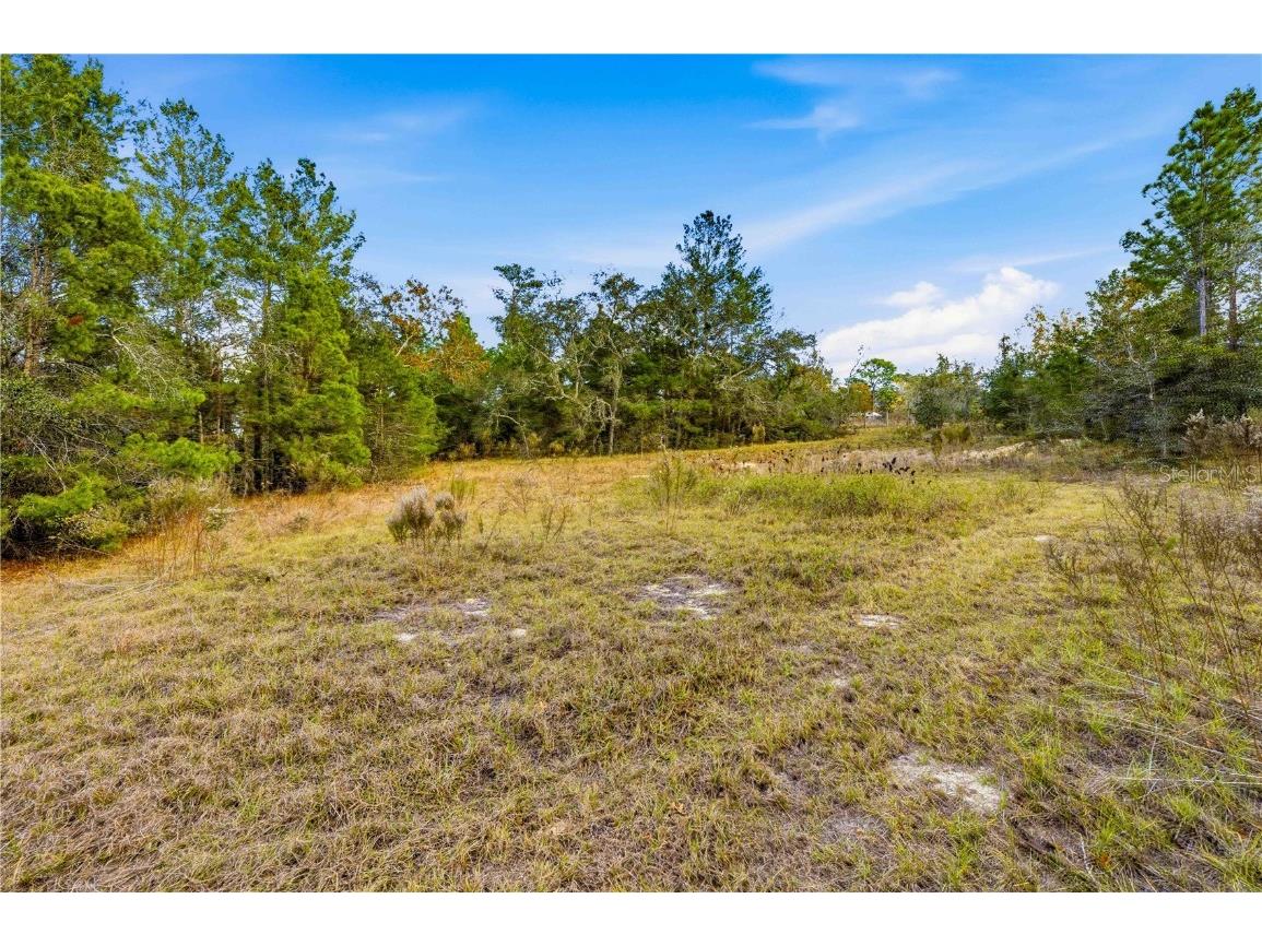 0 Backwoods Way Brooksville FL 34614 W7881493 image8