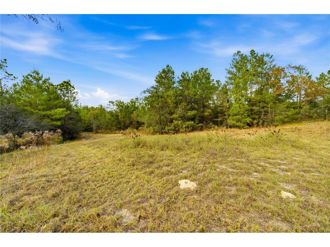 0 Backwoods Way Brooksville FL 34614 W7881493 image9