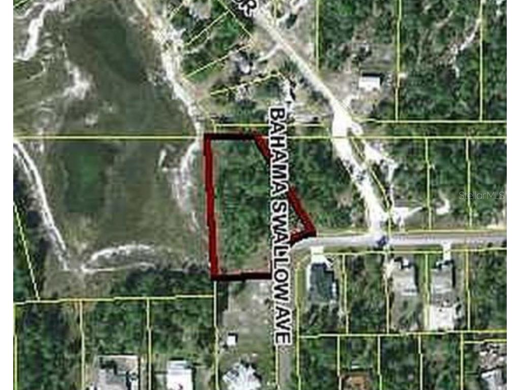 0 Bahama Swallow Avenue Weeki Wachee FL 34613 TB8404520 image1