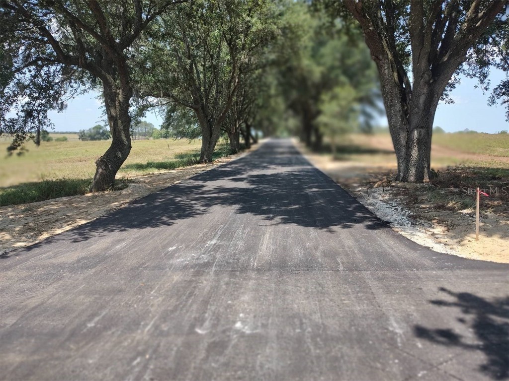 0 Bahia Hill Drive Brooksville FL 34602 T3526143 image1