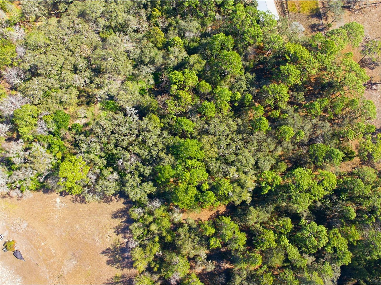 0 Barclay Avenue Spring Hill FL 34609 W7883483 image13