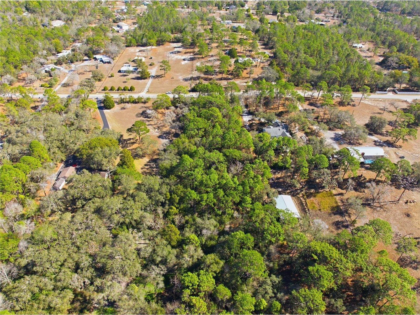 0 Barclay Avenue Spring Hill FL 34609 W7883483 image9