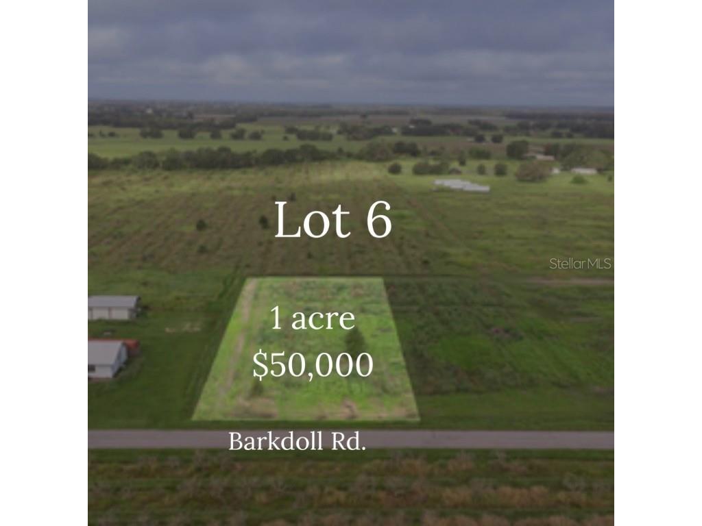 0 Barkdoll Road #LOT 6 Bowling Green FL 33834 T3507538 image1