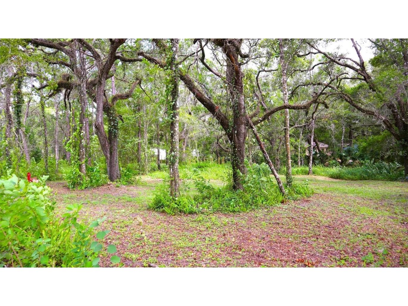 0 Barney Drive Hudson FL 34669 W7856815 image1