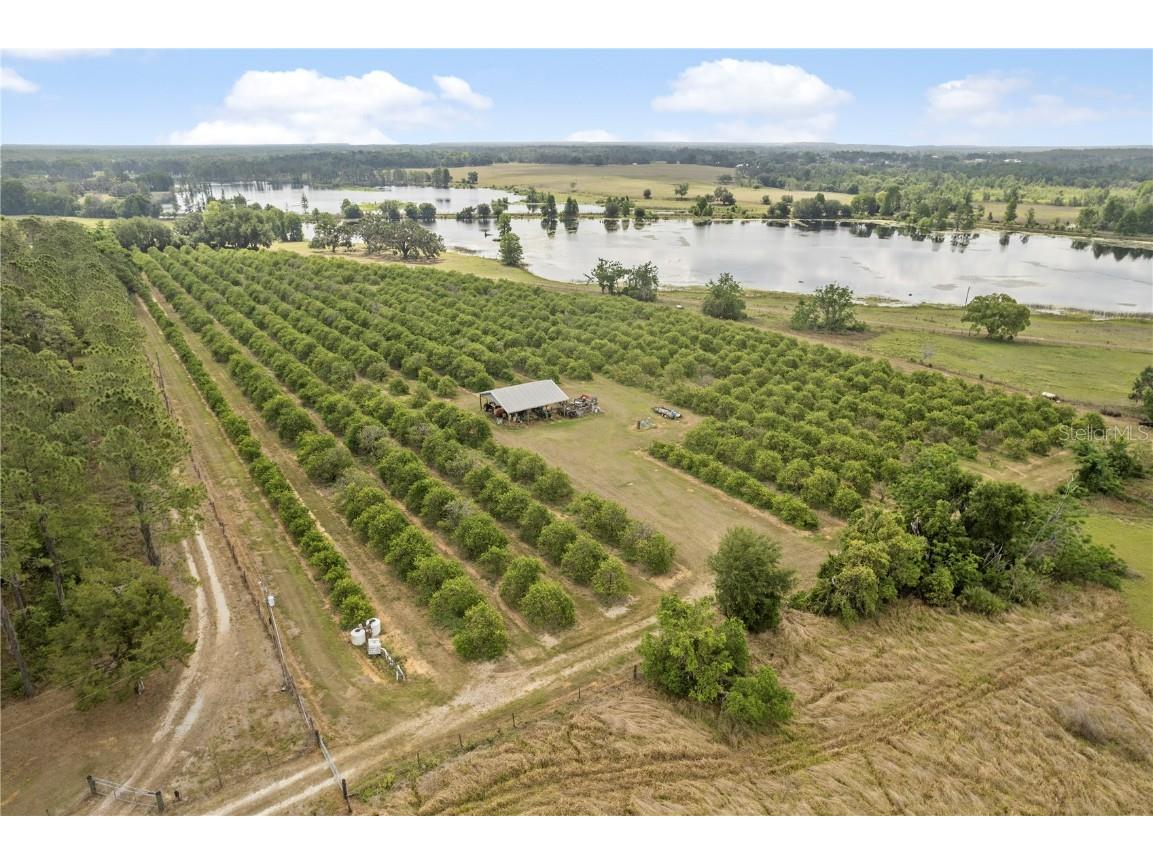 0 Barry Rd Dade City FL 33523 TB8379508 image1