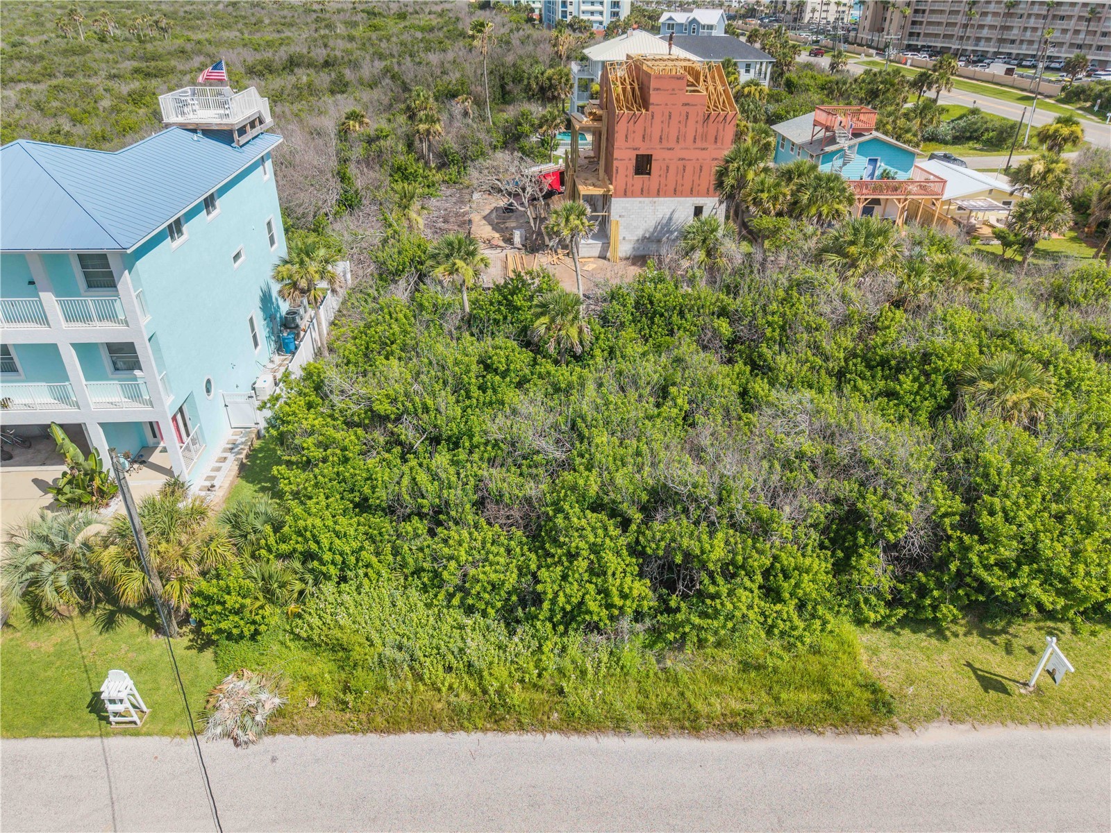 0 Bass Avenue New Smyrna Beach FL 32169 NS1088643 image2