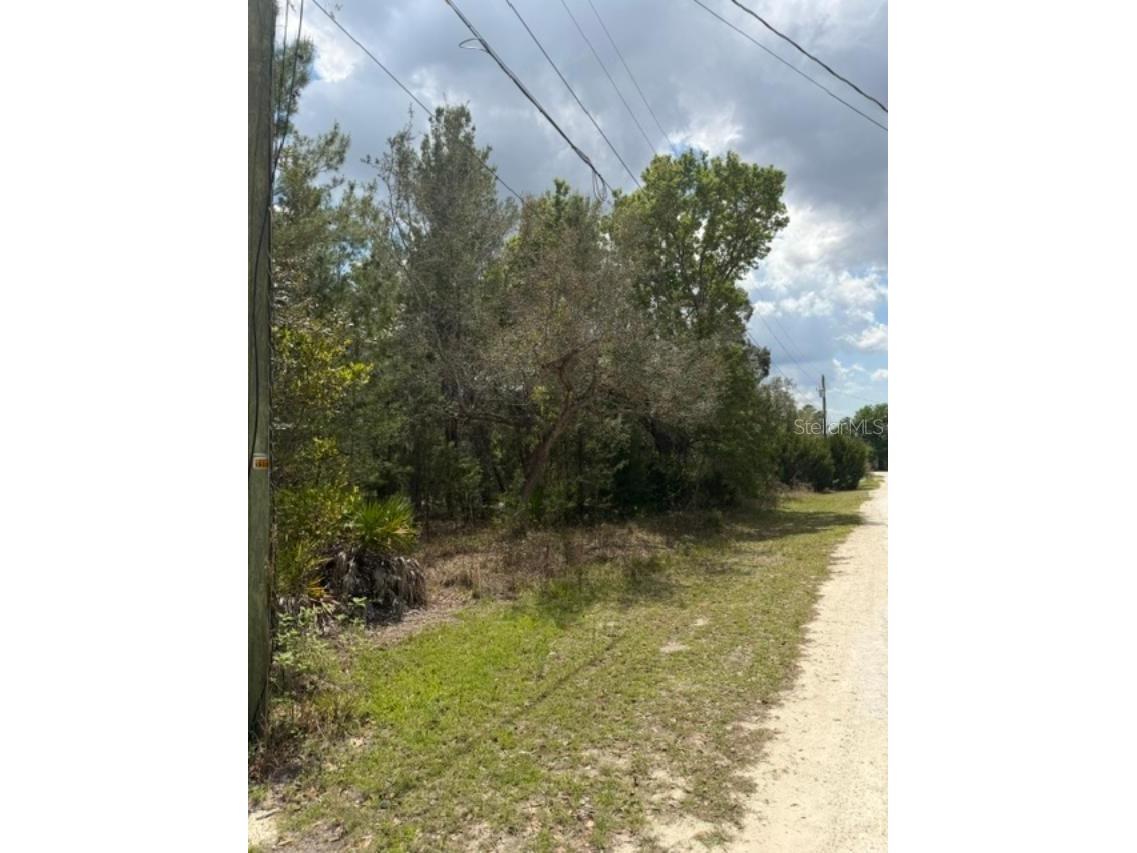 0 Bastian Court Weeki Wachee FL 34613 W7885139 image2