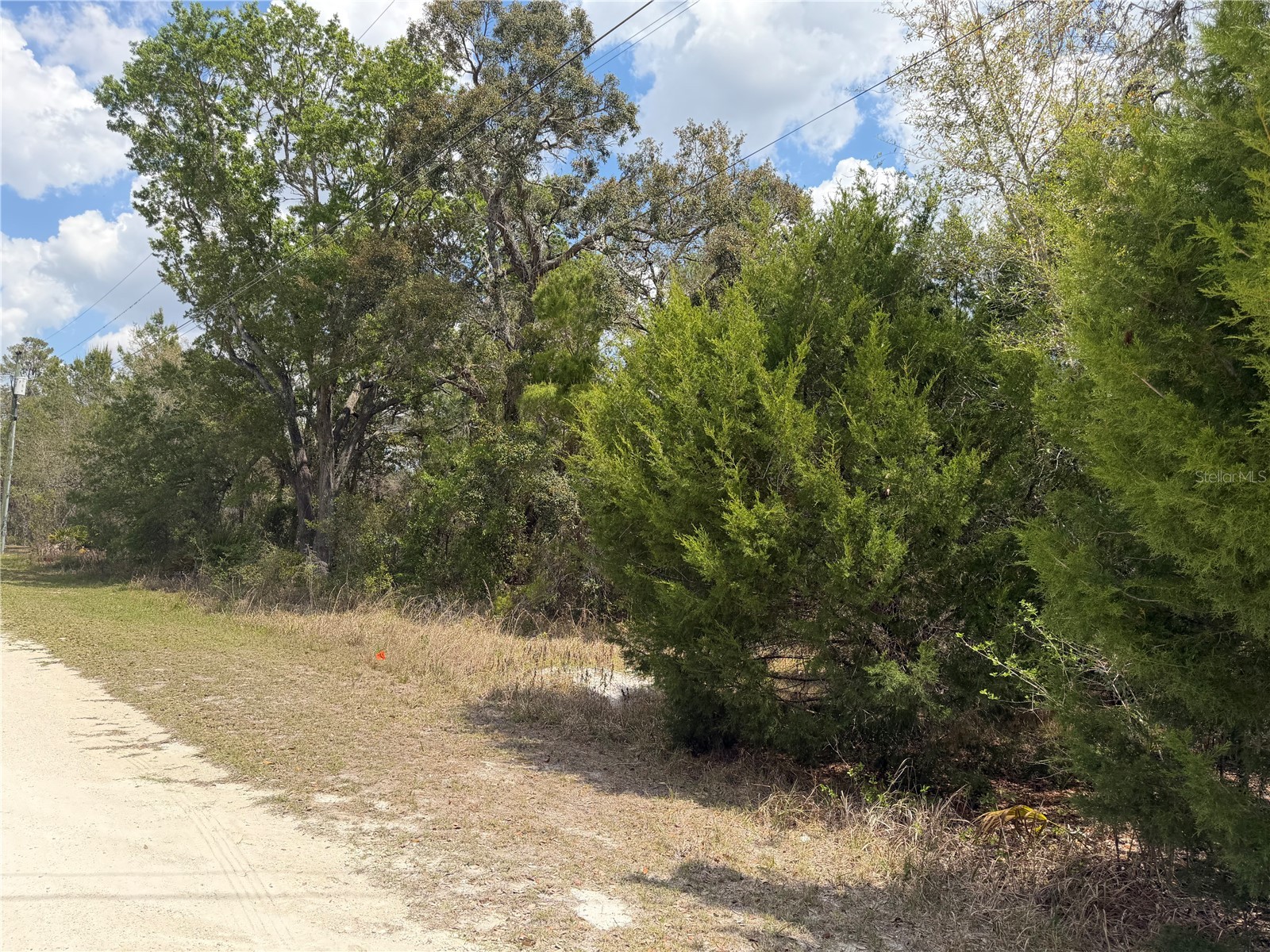 0 Bastian Court Weeki Wachee FL 34613 W7885139 image3