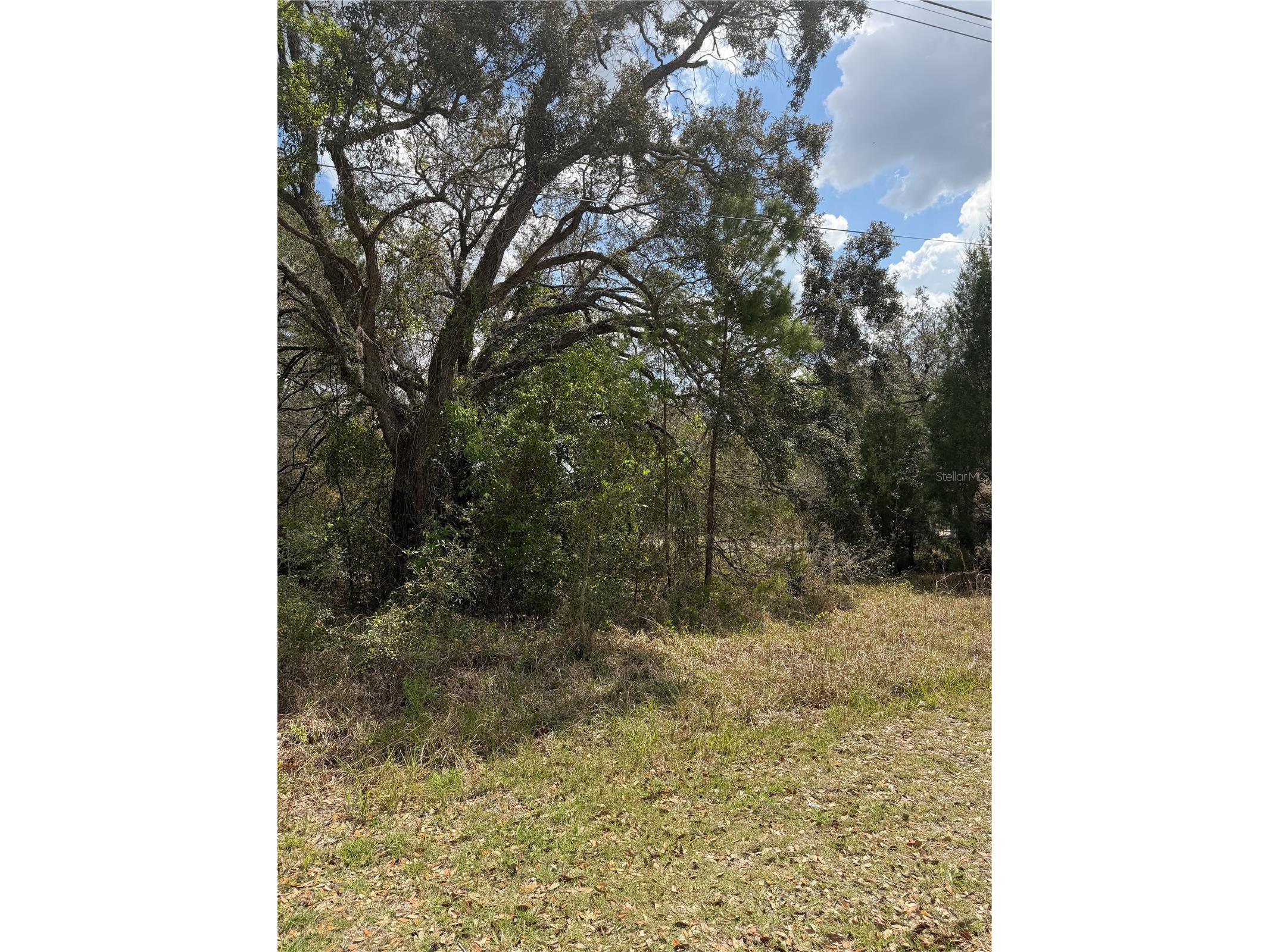 0 Bastian Court Weeki Wachee FL 34613 W7885139 image4