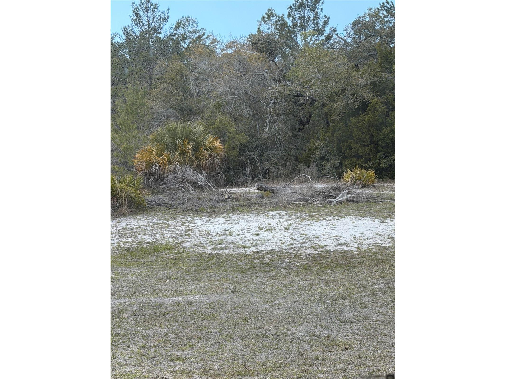 0 Bastian Court Weeki Wachee FL 34613 W7885139 image5