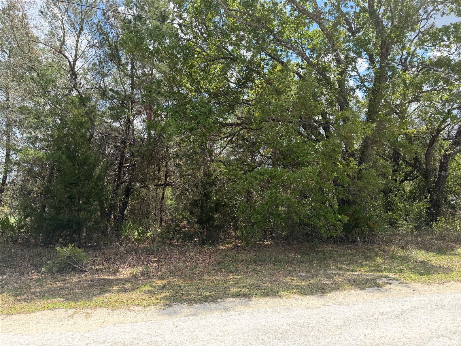 0 Bastian Court Weeki Wachee FL 34613 W7885139 image6