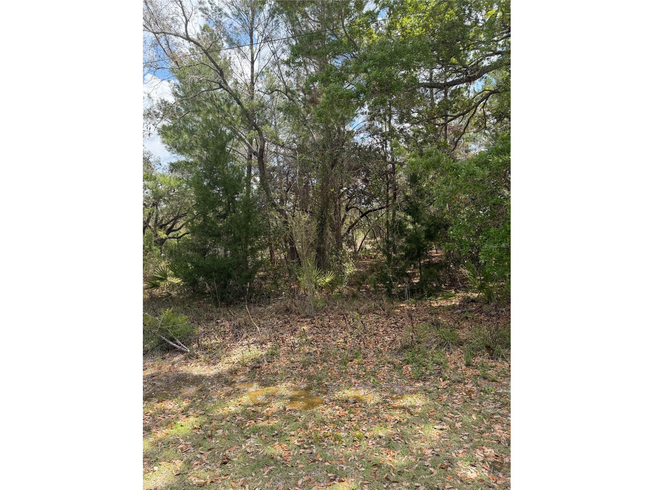 0 Bastian Court Weeki Wachee FL 34613 W7885139 image7