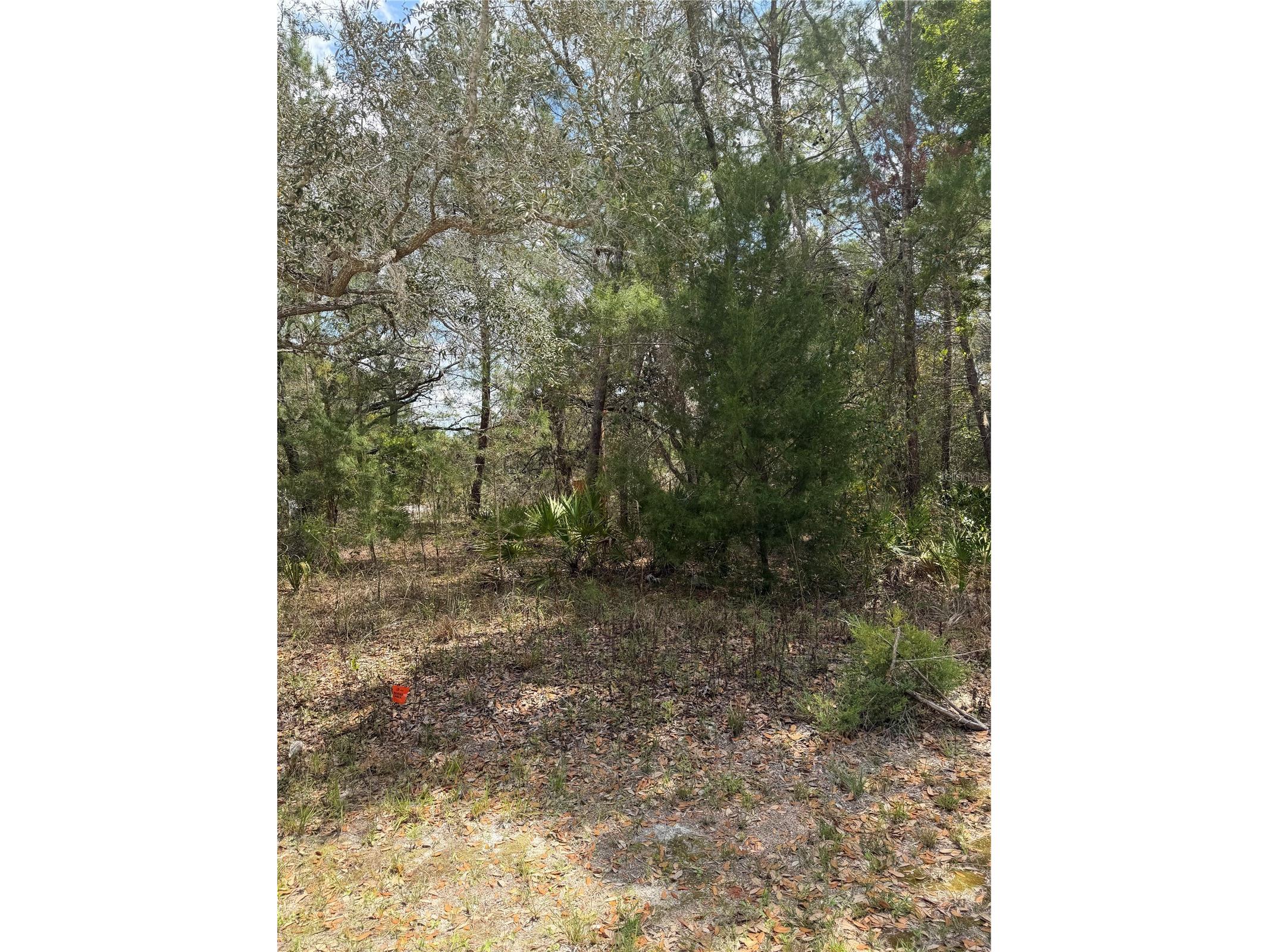 0 Bastian Court Weeki Wachee FL 34613 W7885139 image8