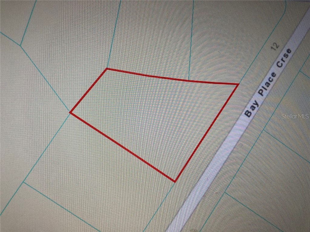 0 Bay Place Course Ocklawaha FL 32179 OM622673 image1