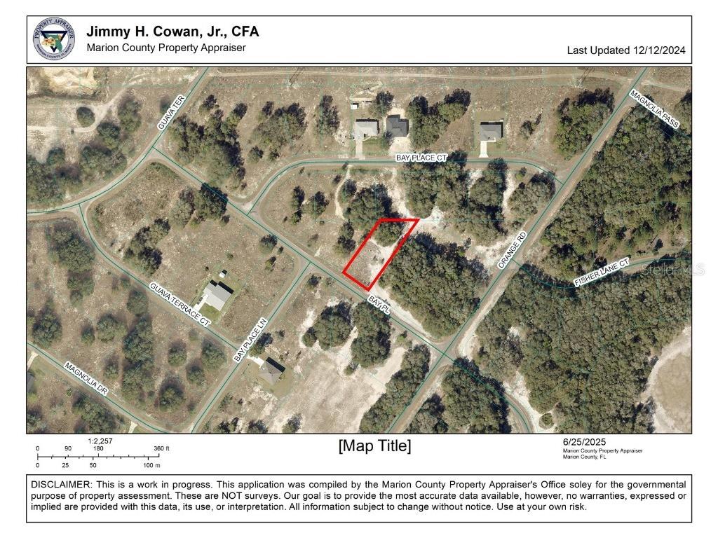 0 Bay Place Ocklawaha FL 32179 OM704390 image1