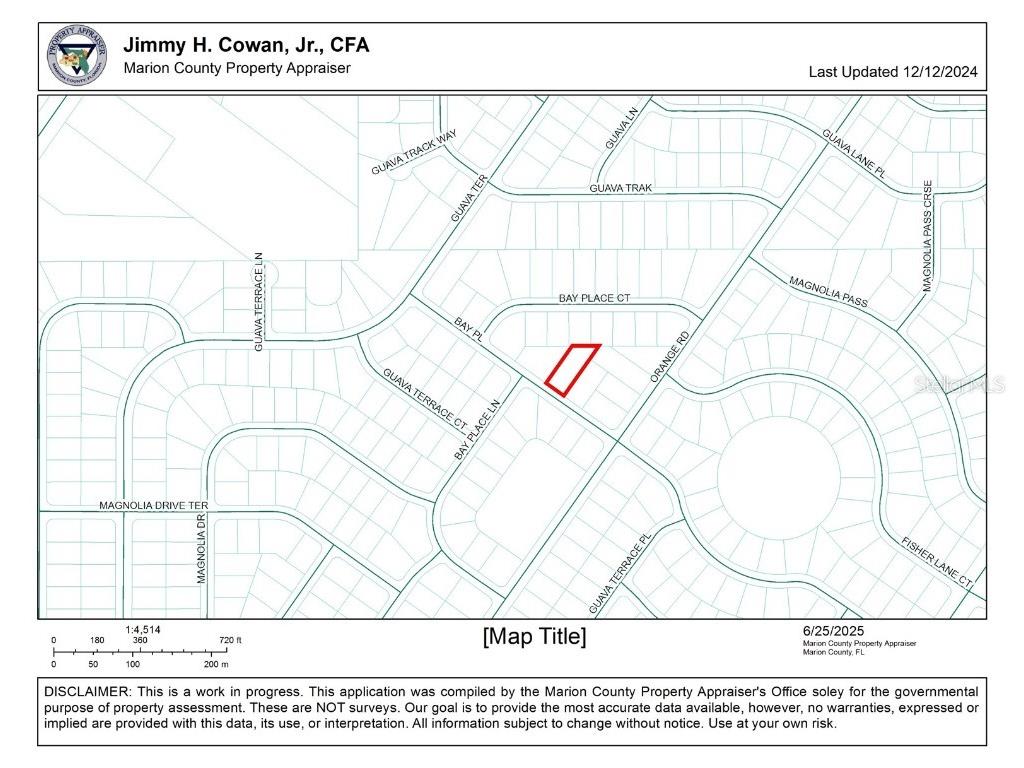 0 Bay Place Ocklawaha FL 32179 OM704390 image2