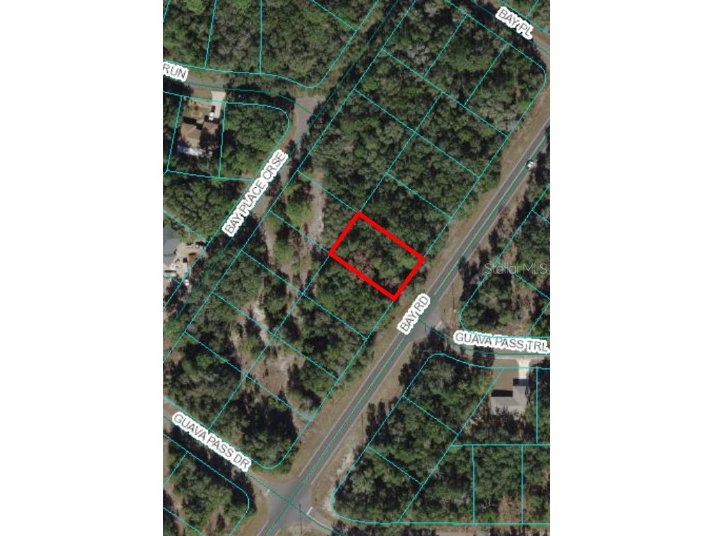0 Bay Road Ocklawaha FL 32179 OM675406 image1