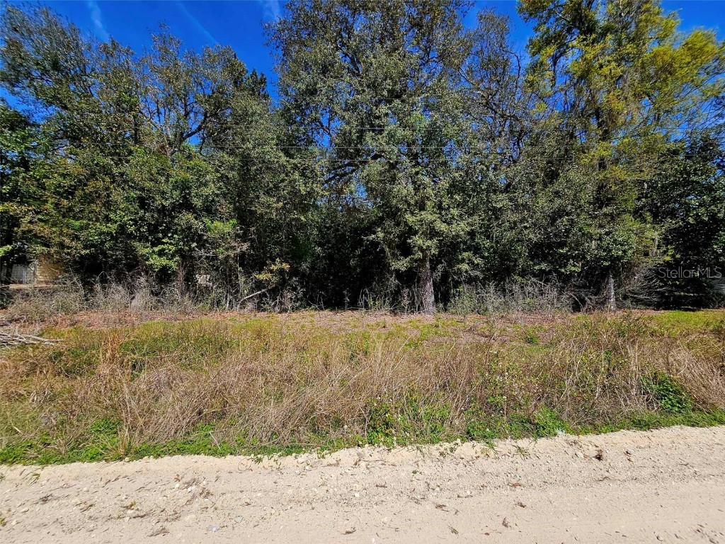 0 Bay Street Hawthorne FL 32640 OM674749 image1