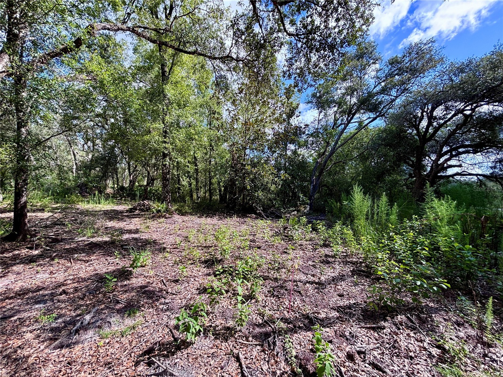 0 Bedrock Drive Webster FL 33597 W7877877 image9