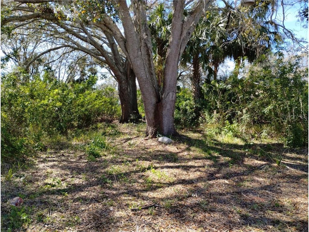0 Belah Drive #LOT 8 New Port Richey FL 34653 W7872796 image1