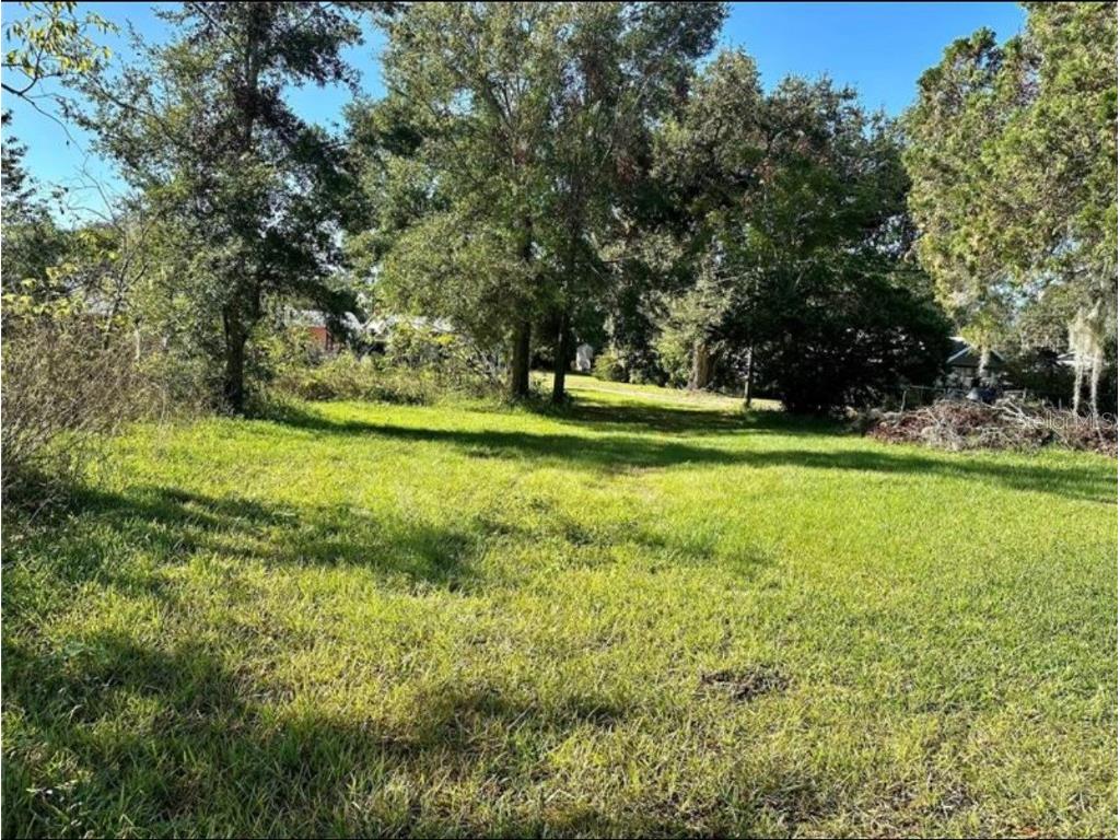 0 Belleview Drive Lakeland FL 33811 L4936475 image1