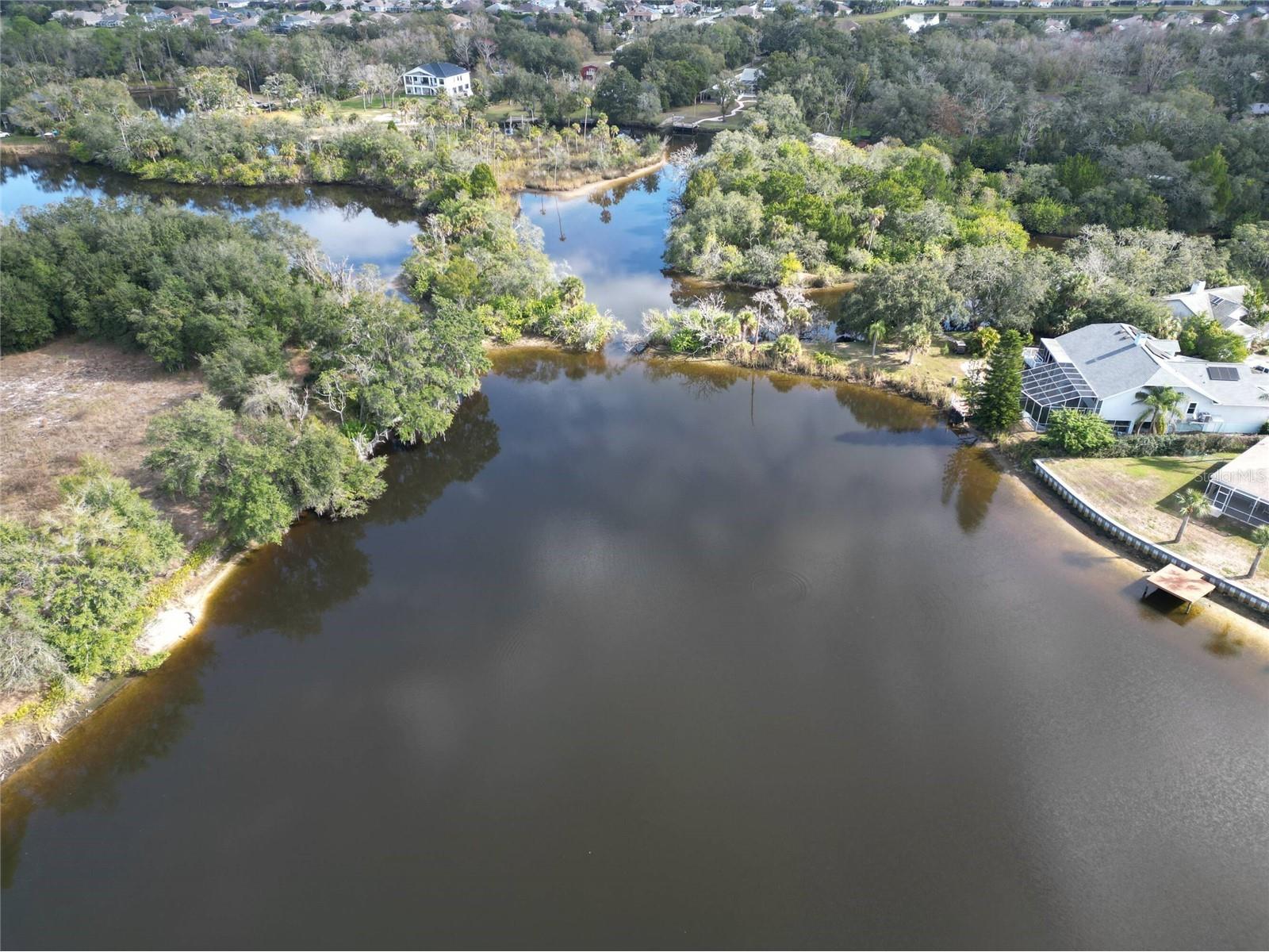 0 Berry Hill Road Holiday FL 34690 TB8507322 image12