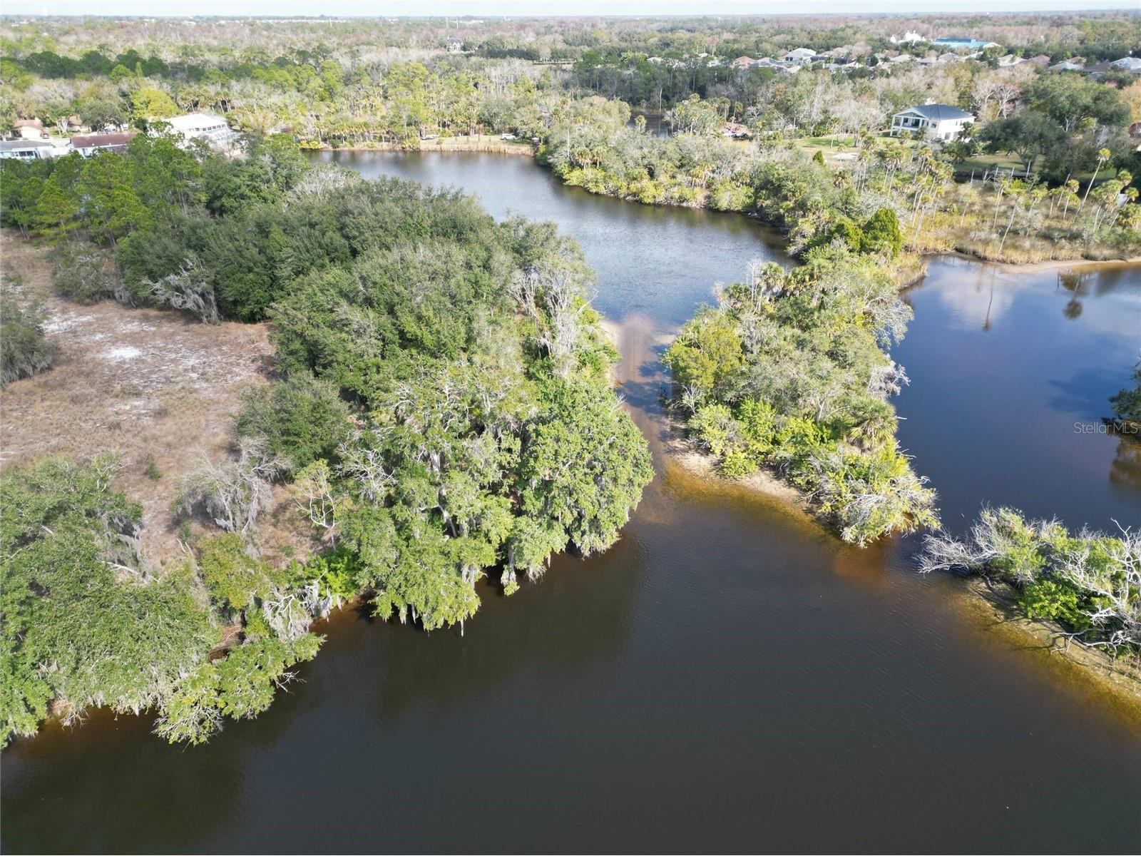 0 Berry Hill Road Holiday FL 34690 TB8507322 image18