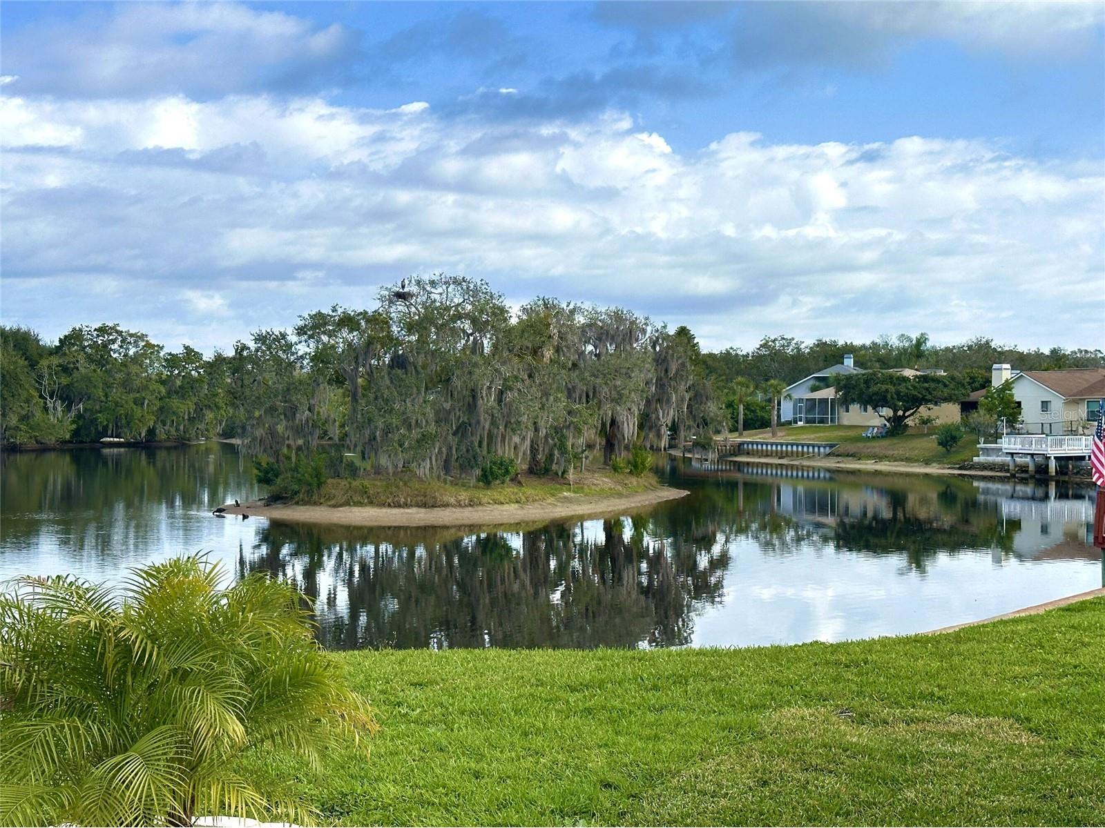 0 Berry Hill Road Holiday FL 34690 TB8507322 image25