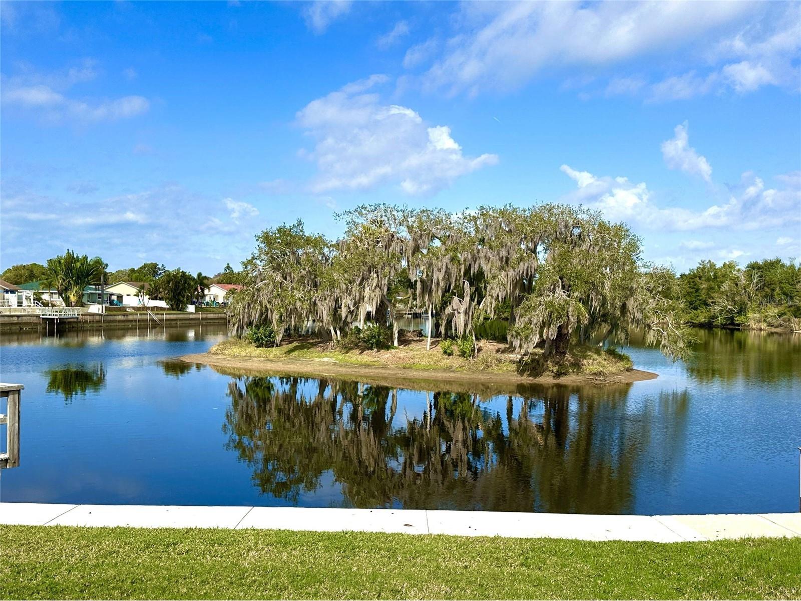 0 Berry Hill Road Holiday FL 34690 TB8507322 image26
