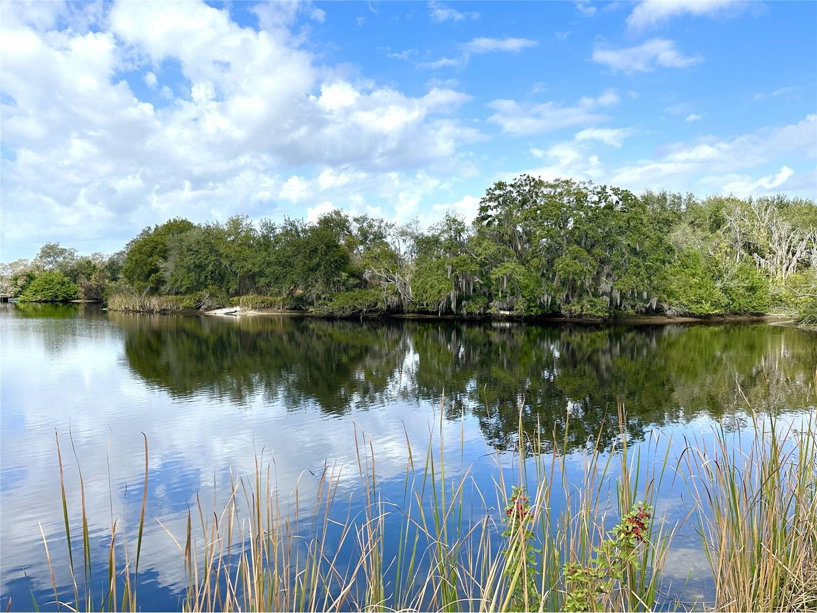 0 Berry Hill Road Holiday FL 34690 TB8507322 image30