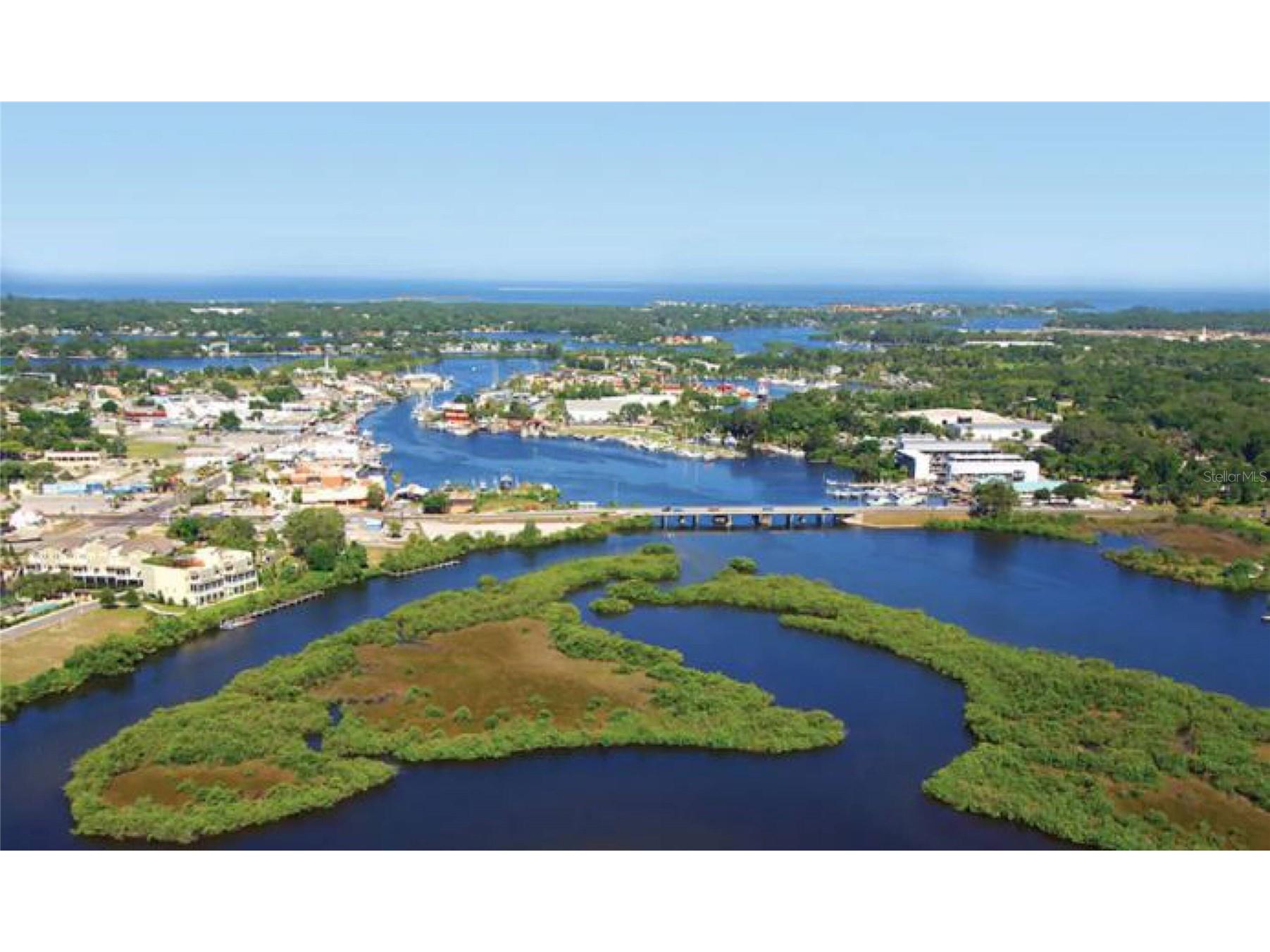 0 Berry Hill Road Holiday FL 34690 TB8507322 image40