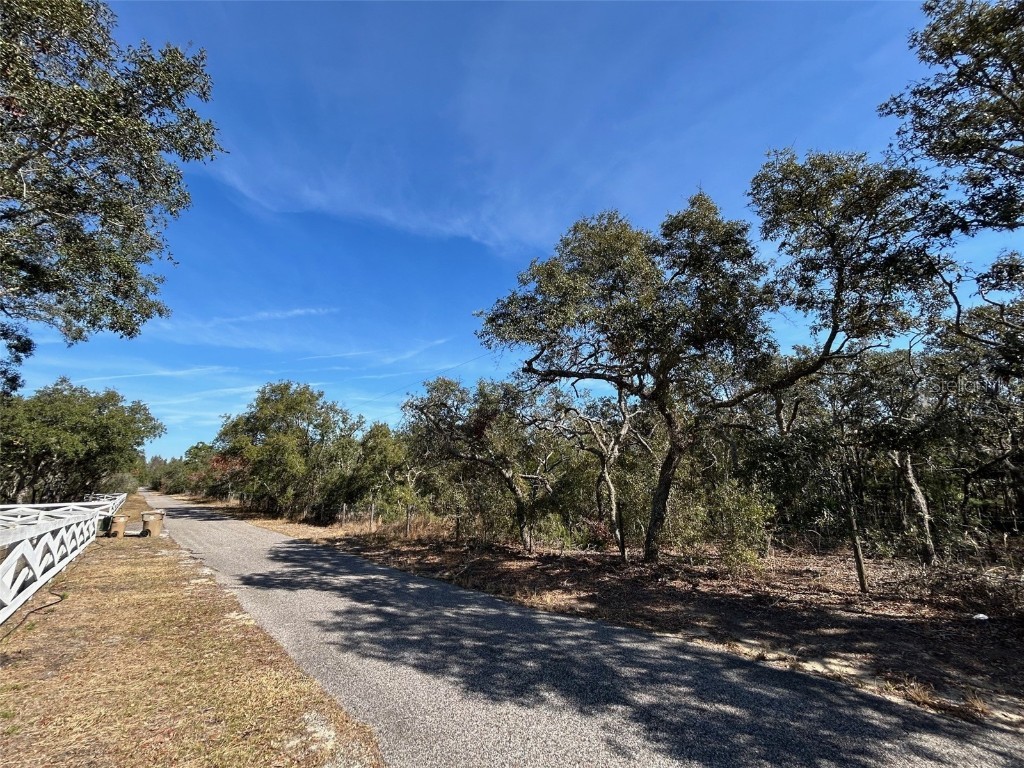 0 Black Bear Lane Winter Garden FL 34787 O6276228 image1